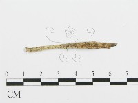 登錄號:F0003025藏品圖，第4張