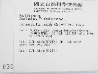 登錄號:F0003026藏品圖，第2張