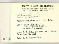 登錄號:F0003027藏品圖，第2張