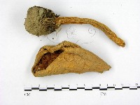 登錄號:F0003027藏品圖，第3張