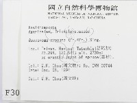 登錄號:F0003028藏品圖，第2張