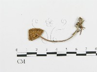 登錄號:F0003028藏品圖，第1張