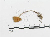 登錄號:F0003028藏品圖，第3張