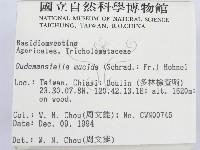 登錄號:F0003029藏品圖，第2張