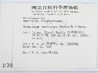 登錄號:F0003030藏品圖，第2張