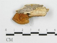 登錄號:F0003030藏品圖，第1張