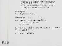 小皮傘屬藏品圖，第2張