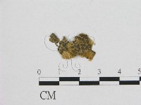 登錄號:F0003032藏品圖，第1張