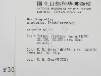 登錄號:F0003034藏品圖，第2張