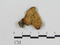 登錄號:F0003034藏品圖，第1張