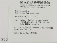 濕傘屬藏品圖，第2張