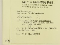 登錄號:F0003036藏品圖，第2張