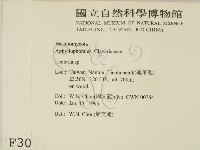 登錄號:F0003037藏品圖，第2張