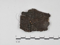 登錄號:F0003037藏品圖，第1張