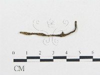登錄號:F0003038藏品圖，第1張