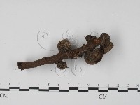 登錄號:F0003039藏品圖，第4張