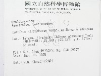 登錄號:F0003040藏品圖，第2張