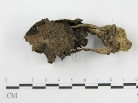 登錄號:F0003040藏品圖，第1張