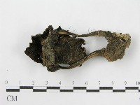 登錄號:F0003040藏品圖，第4張