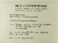 登錄號:F0003041藏品圖，第2張