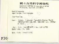 鬼傘屬藏品圖，第2張