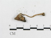 登錄號:F0003043藏品圖，第3張