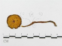 登錄號:F0003045藏品圖，第3張