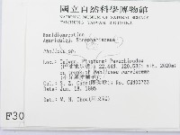 登錄號:F0003047藏品圖，第2張