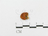 登錄號:F0003047藏品圖，第3張