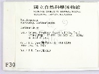 登錄號:F0003049藏品圖，第2張