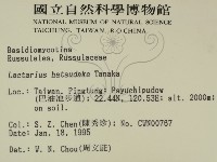 登錄號:F0003051藏品圖，第2張