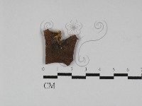 登錄號:F0003051藏品圖，第1張