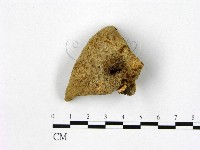 登錄號:F0003052藏品圖，第1張