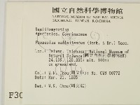 登錄號:F0003054藏品圖，第2張