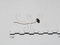 登錄號:F0003054藏品圖，第3張