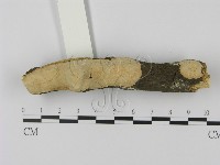 登錄號:F0003055藏品圖，第1張
