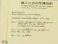 登錄號:F0003056藏品圖，第2張