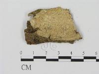 登錄號:F0003056藏品圖，第1張