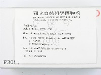 登錄號:F0003057藏品圖，第2張