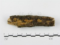 登錄號:F0003057藏品圖，第1張