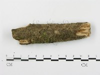 登錄號:F0003057藏品圖，第4張