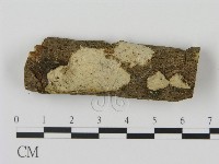 登錄號:F0003060藏品圖，第1張