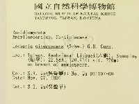 登錄號:F0003062藏品圖，第2張