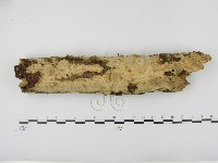 登錄號:F0003062藏品圖，第1張