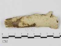 登錄號:F0003064藏品圖，第1張