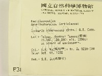 登錄號:F0003065藏品圖，第2張
