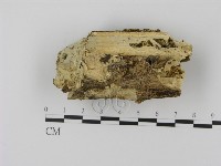 登錄號:F0003066藏品圖，第1張