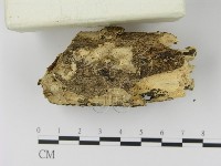 登錄號:F0003066藏品圖，第3張