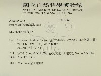 登錄號:F0003069藏品圖，第2張