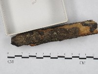 登錄號:F0003071藏品圖，第3張